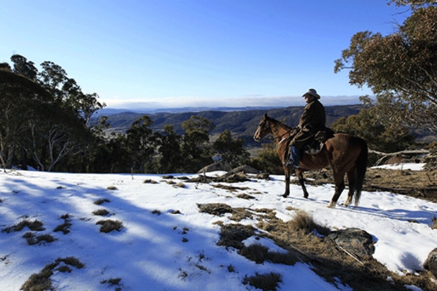 Horseriding