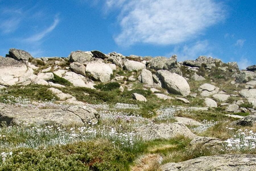 Mount Stilwell Walk