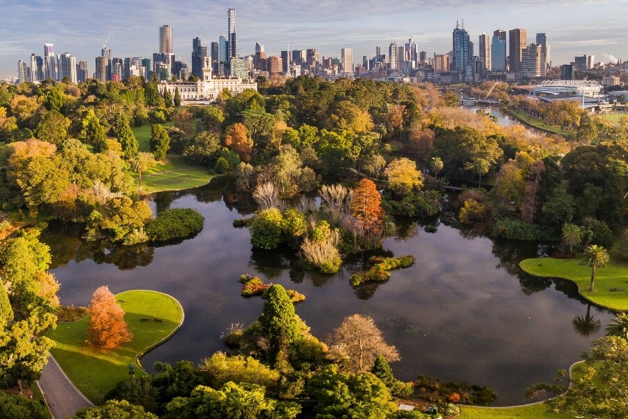 Stroll through the Royal Botanic Gardens
